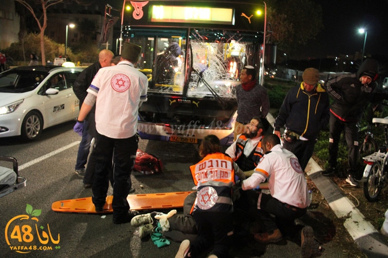 acc shderoteirer (6).JPG